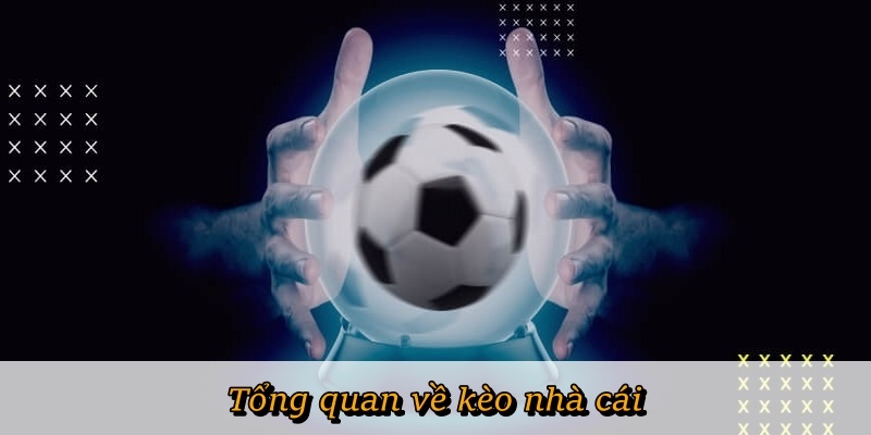 Tổng quan về kèo nhà cái