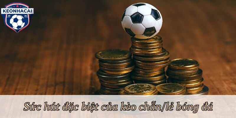 Sức hút đặc biệt của kèo chẵn/lẻ bóng đá