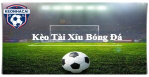 Kèo Tài Xỉu – Thể Loại Cược Bóng Đá Hot Tại Keonhacai.direct