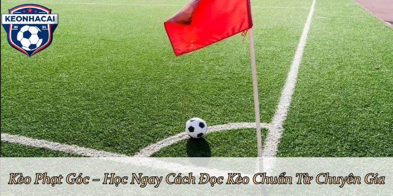 Kèo Phạt Góc – Học Ngay Cách Đọc Kèo Chuẩn Từ Chuyên Gia